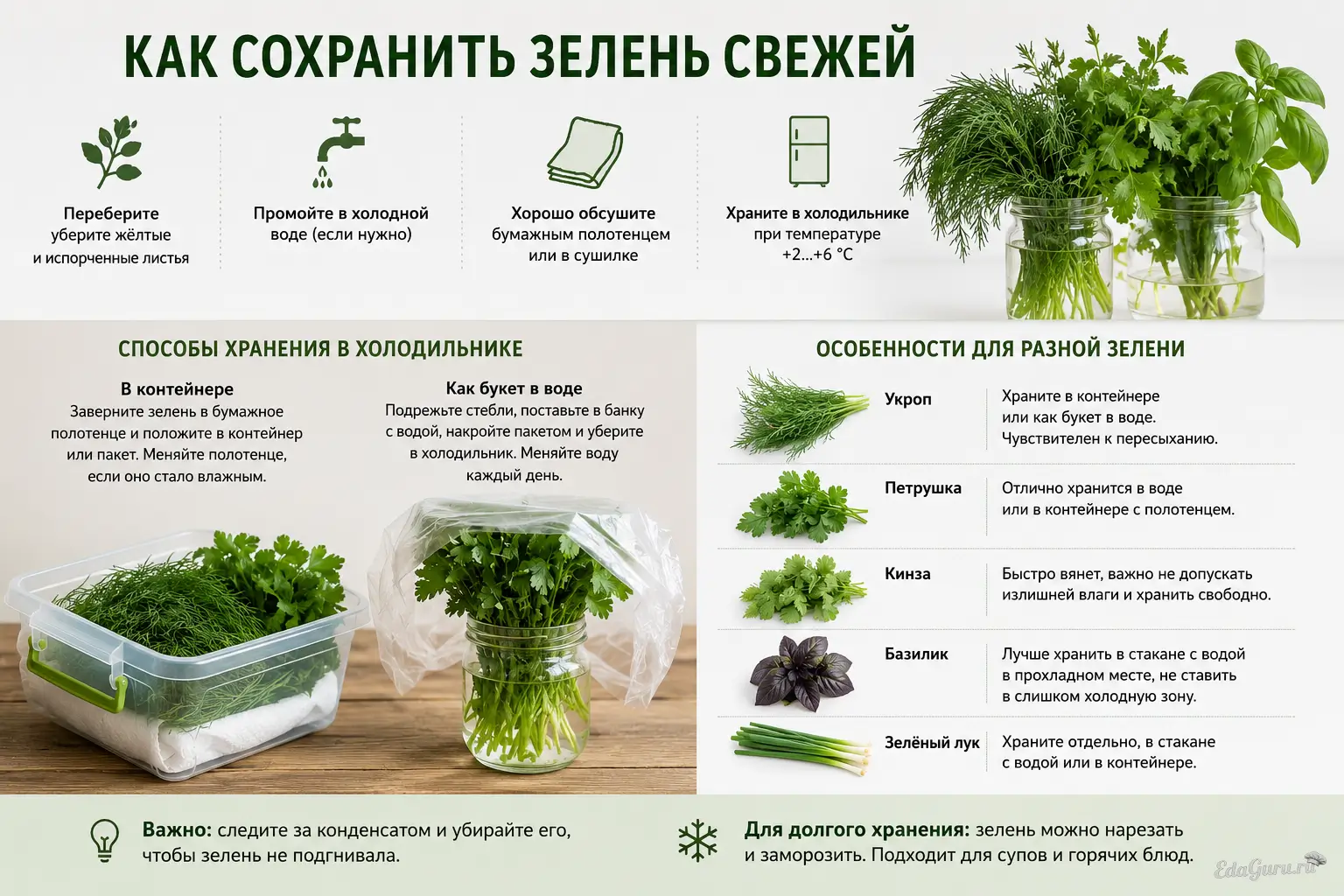 Как хранить зелень, чтобы она дольше оставалась свежей